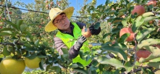 농협은행 기업투자금융부문, 농촌 일손돕기 나서