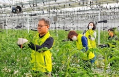 농협은행 자금운용부문, 충남 천안서 수확철 일손돕기