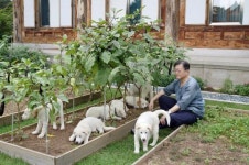홍준표, 풍산개 논란에...文, 사룟값 아끼려고 파양 치사하고 좀스럽기도 하고