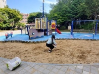 경기 초등학교 놀이터 등 기생충 ‘불검출’…놀이시설 378곳 모래 검사