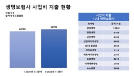 생보사 사업비 다시 늘렸다…영업력 강화 집중