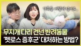 [당안녕㉖] 또 하나의 가족, 반려견과의 이별…‘펫로스 증후군’에 대처하는 방법