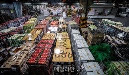“소비자 변화 적응 못한다”…농산물 도매시장 유통구조 개선