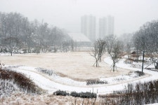 설 연휴, 수원에서 더 특별하게 보내기!