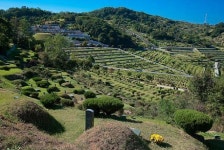 서울시립묘지, 분묘 개장 후 화장하면 1기당 40만원 지원