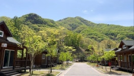연천군 고대산자연휴양림, 도시민 힐링 명소로 인기