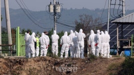 4년 만의 구제역, ‘해외 유입’ 추정…국내 백신으로 방어 가능