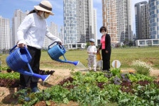 [포토]K-시흥시- “우리가 도시 농부”, 배곧텃밭나라에 행복이 쑥쑥