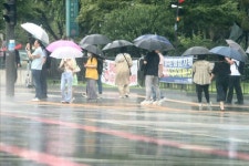[내일날씨] 전국 장맛비...남부 늦은 오후 비 그쳐