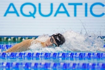 '0.02초' 황선우, 세계선수권 자유형 100m 결승행 실패…판잔러 진출