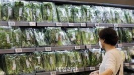 장마 끝…장바구니 물가 무거워질 일만 남았다