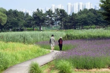 [포토]‘쉼’이 필요할 땐 시흥시 갯골생태공원…“오늘 여기 오길 잘했다”