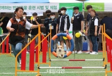 ‘반려동물행동지도사’ 국가자격 시행 윤곽 나왔다…내년 6월 첫 시험