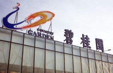 中 ‘5년 연속 신규 주택판매 1위’ 비구이위안, 이자 상환 못했다