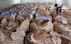 꽉 찬 양곡창고 “年 7000억 땡처리”…밥값 못하는 악순환 [쌀의 날③]