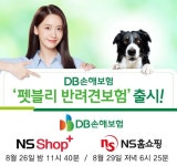 NS홈쇼핑, DB손해보험 ‘펫블리 반려견보험’ 단독 론칭