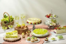 서울드래곤시티, 브런치 메뉴 강화한 ‘샤인머스캣 스튜디오’ 오픈