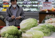 농관원, 김장채소류 잔류농약 안전성 조사…배추·무 등 대상