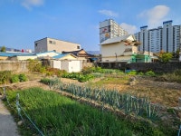 [현장] 달동네의 ‘화려한 변신’…새뜰마을사업, 주민·지자체 모두 ‘방긋’