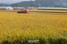 예산 추산도 없는 野 ‘제2양곡관리법’…실속 없는 2라운드 전망