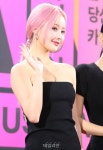 벨, 핑크 헤어스타일