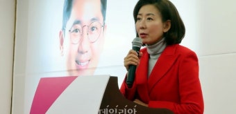 '한동훈 비대위' 가닥?…나경원 
