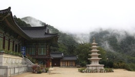 주말마다 사찰 앞 걷기 집회, 종교활동 방해 아니다…왜? [디케의 눈물 175]