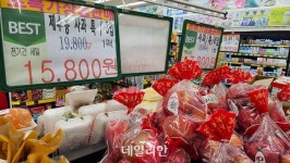 ‘1만원 사과’…41% 오른 농수산물, 수입으로 잡겠다는 정부 [물가가 왜 이래②]