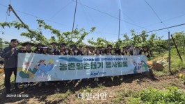 전력거래소, 반디봉사단 농번기 맞이 배 열매솎기 일손돕기 참여