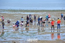 어촌어항공단, 여름 휴가철 어촌체험마을 숙박료 최대 10만원 할인