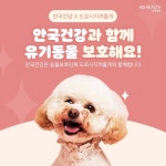 안국건강 도로시지켜줄개에 반려견 영양제 물품 기부
