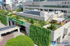 수원 65세 이상 운전자 교통사고 다발지점 장안구청사거리 부근 최다