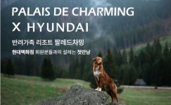 팔레드차밍, 현대백화점과 ‘현대적 만남’ 프로모션 개시