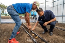 감자 종주국 중남미에 기술전수…한국 씨감자 수경재배 ‘넘버원’ [新농사직썰-케이팜⑧]