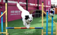 반려동물행동지도사 국가 자격증 첫 시험 ‘흥행실패’…난이도·실기시험 등 혹평
