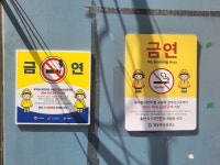 어린이집·학교 30m 이내 금연구역 확대…단속에만 의존하면 한계 뚜렷 [데일리안이 간다 75]