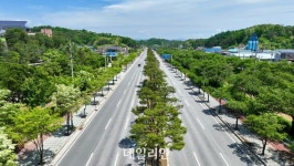 산림청, ‘우수 관리 가로수길’ 6곳 선정