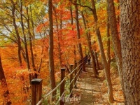 가족·연인 손잡고 단풍 속으로…국립공원, 걷기 좋은 길 ‘7선’