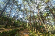 이것이 ‘명품의 품격’...가을이 익어가는 무등산 평촌명품마을[이생관]