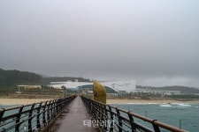 굽이 쳐 흐르는 ‘자연의 힘’…가을이 익어 가는 울진 왕피천 계곡 [이생관]