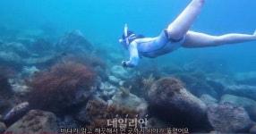 해수부, 제10회 섬 여행 영상공모전 ‘울릉도 수중탐험’ 대상