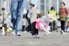 “시급하게 도입됐나”…반려동물행동지도사 첫 시험부터 시끌[부실한 국가자격증①]
