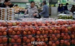 내년부터 한국 토마토 검역요령 고시 따라 생산된 제품만 일본 수출 가능