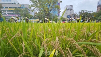 한덕수 대통령권한대행, 야당 처리 법안 거부권 행사에 대한 고민