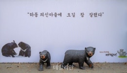 탄소 없는 청정지역…이곳이 바로 ‘하동별천지마을’ [배·태·랑]