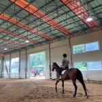 용인특례시, 학생 승마 체험 참가자 1267명 모집