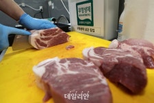 생산성 향상·환경 지속 가능성 확보 갈림길 놓인 ‘축산업’[축산업 혁신①]