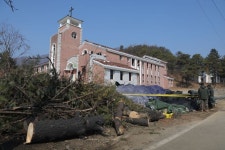 전투기 오폭에 중지했던 軍 실사격 훈련 부분 재개…포천·공군은 제외