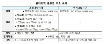 집값 급등에 결국 ‘번복’…강남3구·용산, 토허제 확대 지정
