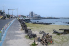 “너무 좋았수다” 해녀·비자림·그리고 힐링…생태관광의 모든 것 ‘제주 평대리’ [배.태.랑]